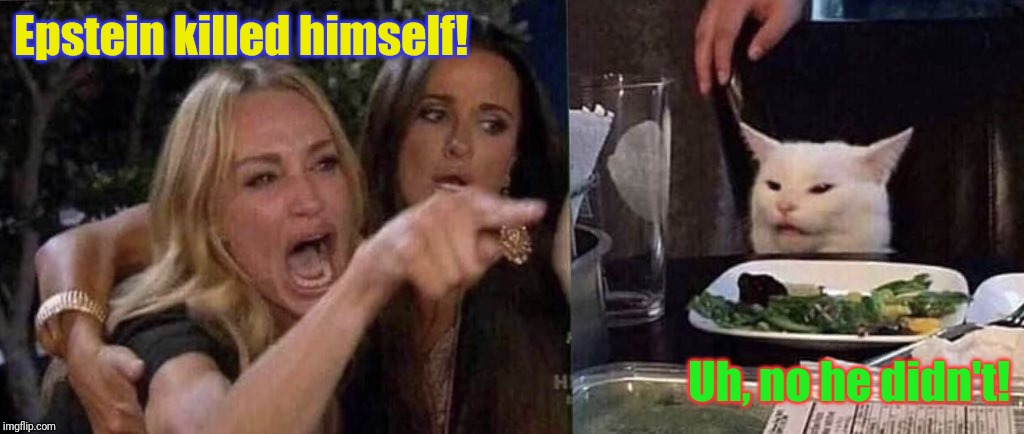 woman yelling at cat | Epstein killed himself! Uh, no he didn't! | image tagged in woman yelling at cat | made w/ Imgflip meme maker