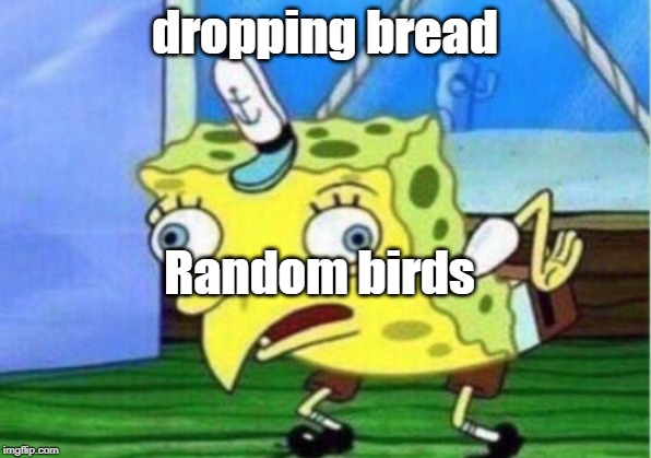 Mocking Spongebob | dropping bread; Random birds | image tagged in memes,mocking spongebob | made w/ Imgflip meme maker
