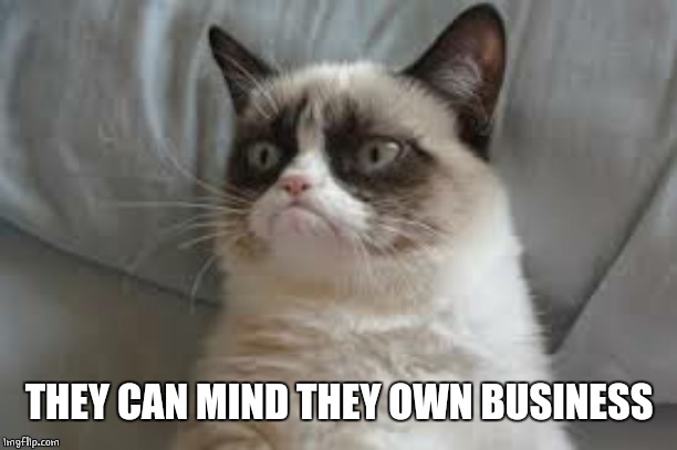 Grumpy cat | THEY CAN MIND THEY OWN BUSINESS | image tagged in grumpy cat | made w/ Imgflip meme maker