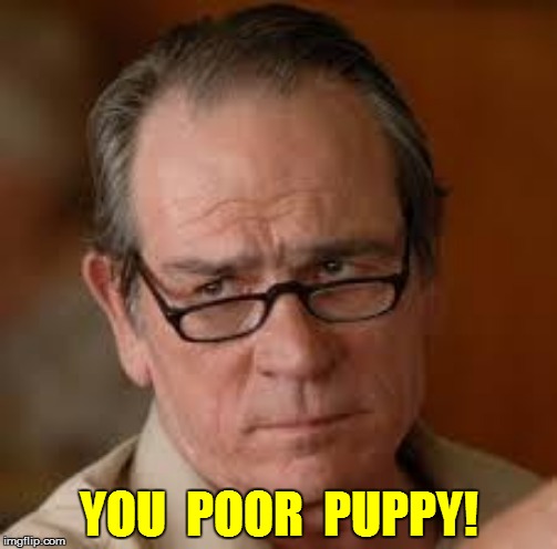 YOU  POOR  PUPPY! | made w/ Imgflip meme maker