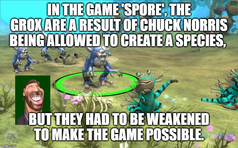spore game | IN THE GAME 'SPORE', THE GROX ARE A RESULT OF CHUCK NORRIS BEING ALLOWED TO CREATE A SPECIES, BUT THEY HAD TO BE WEAKENED TO MAKE THE GAME POSSIBLE. | image tagged in chuck norris | made w/ Imgflip meme maker