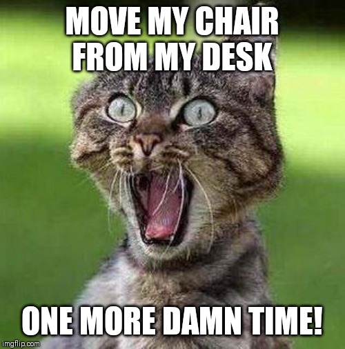 Shocked Cat | MOVE MY CHAIR FROM MY DESK; ONE MORE DAMN TIME! | image tagged in shocked cat | made w/ Imgflip meme maker