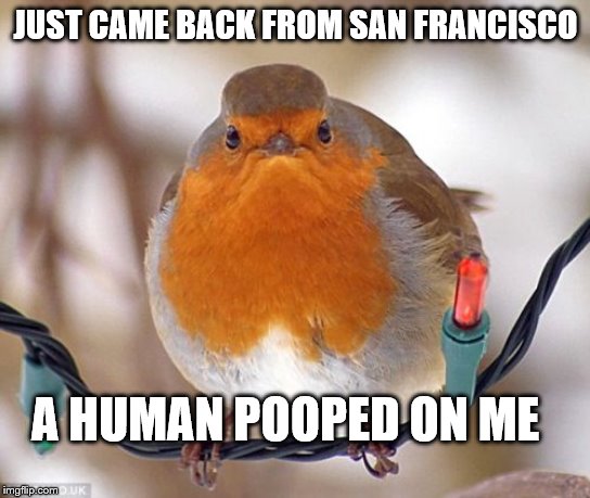 Bah Humbug | JUST CAME BACK FROM SAN FRANCISCO; A HUMAN POOPED ON ME | image tagged in memes,bah humbug | made w/ Imgflip meme maker