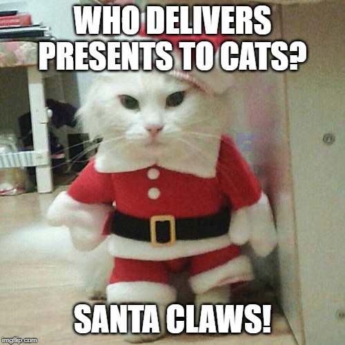 Santa Claws! | WHO DELIVERS PRESENTS TO CATS? SANTA CLAWS! | image tagged in cats | made w/ Imgflip meme maker