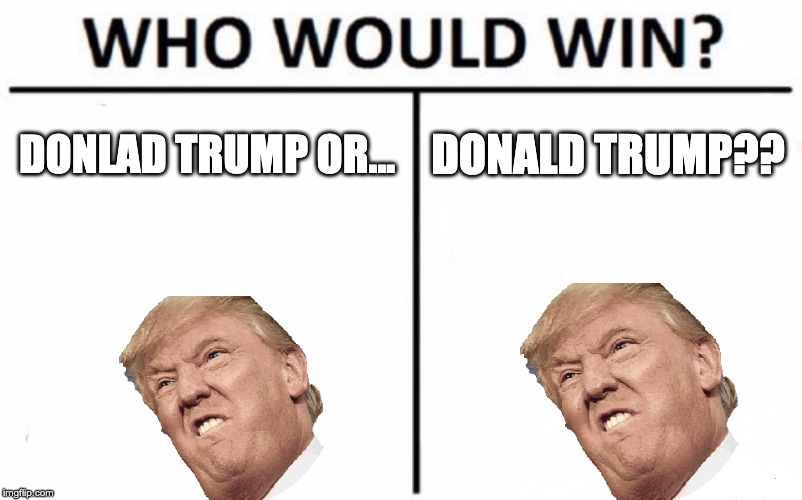 Who Would Win? | DONLAD TRUMP OR... DONALD TRUMP?? | image tagged in memes,who would win | made w/ Imgflip meme maker