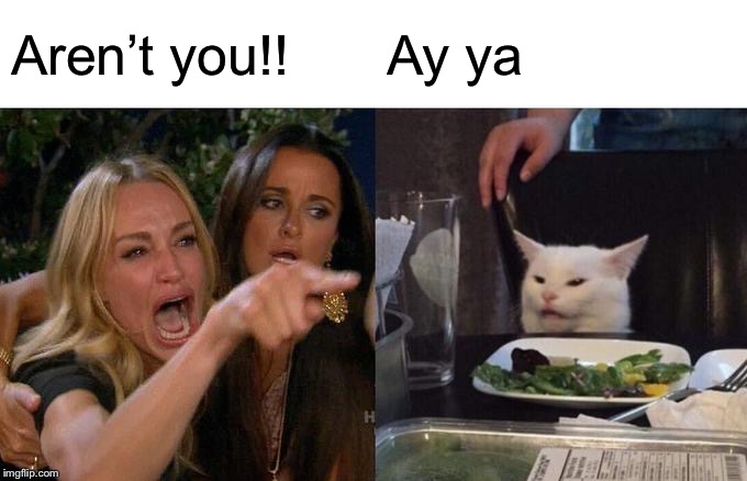 Woman Yelling At Cat Meme | Aren’t you!! Ay ya | image tagged in memes,woman yelling at cat | made w/ Imgflip meme maker