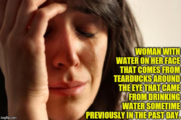 First World Problems | WOMAN WITH WATER ON HER FACE THAT COMES FROM TEARDUCKS AROUND THE EYE THAT CAME FROM DRINKING WATER SOMETIME PREVIOUSLY IN THE PAST DAY. | image tagged in memes,first world problems | made w/ Imgflip meme maker