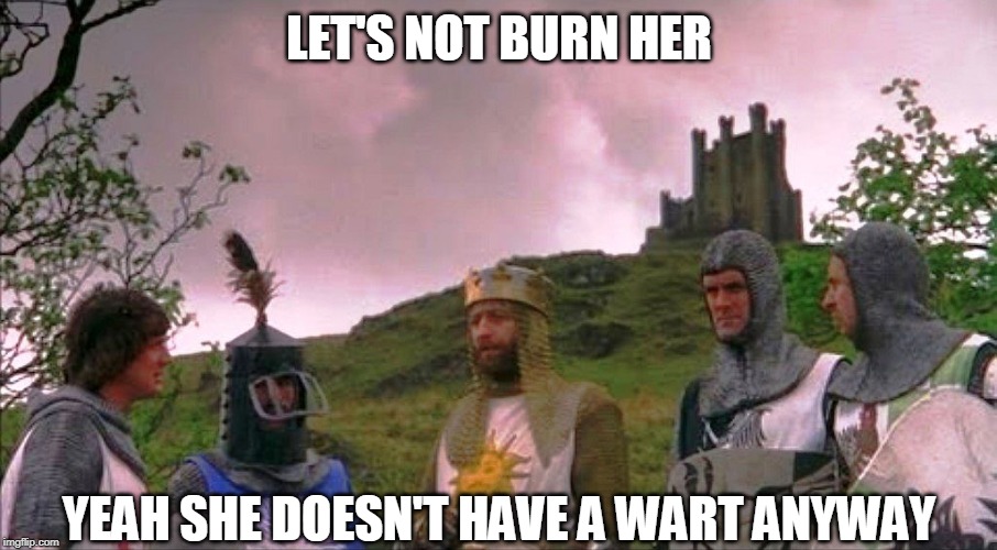 Monty Python and the Holy Grail | LET'S NOT BURN HER YEAH SHE DOESN'T HAVE A WART ANYWAY | image tagged in monty python and the holy grail | made w/ Imgflip meme maker