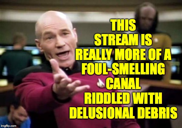 Just sayin'  ( : | THIS STREAM IS REALLY MORE OF A; FOUL-SMELLING CANAL RIDDLED WITH DELUSIONAL DEBRIS | image tagged in memes,picard wtf,politics stream | made w/ Imgflip meme maker