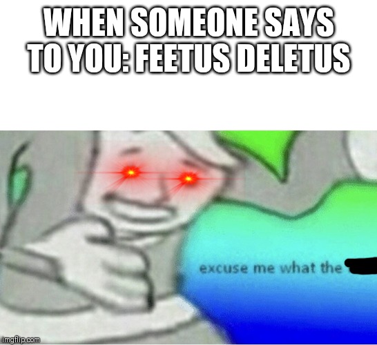 Excuse me wtf blank template | WHEN SOMEONE SAYS TO YOU: FEETUS DELETUS | image tagged in excuse me wtf blank template | made w/ Imgflip meme maker