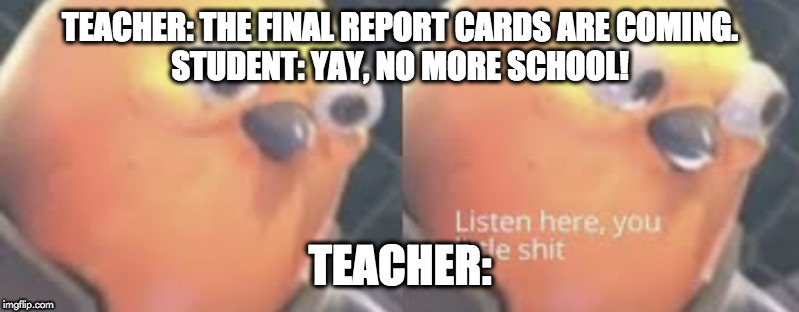 Listen here you little shit bird | TEACHER: THE FINAL REPORT CARDS ARE COMING.
STUDENT: YAY, NO MORE SCHOOL! TEACHER: | image tagged in listen here you little shit bird | made w/ Imgflip meme maker