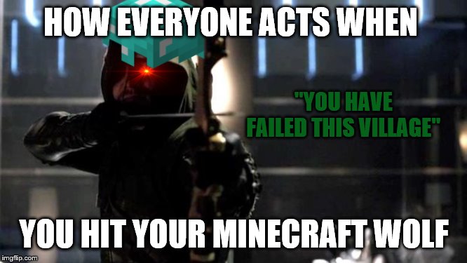 don't abuse animals or the green arrow will put a arrow in your chest | HOW EVERYONE ACTS WHEN; "YOU HAVE FAILED THIS VILLAGE"; YOU HIT YOUR MINECRAFT WOLF | image tagged in arrow - you have failed this city | made w/ Imgflip meme maker