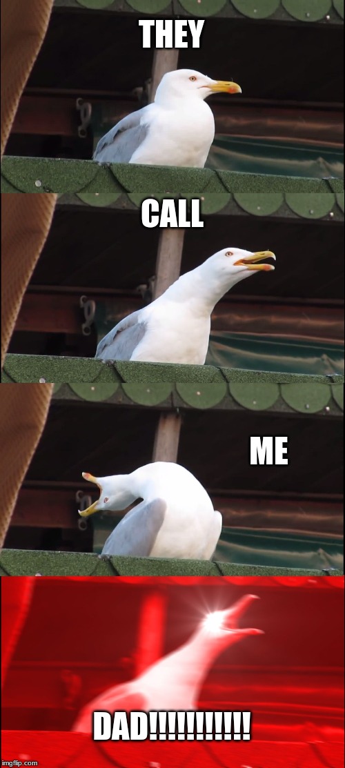 Inhaling Seagull | THEY; CALL; ME; DAD!!!!!!!!!!! | image tagged in memes,inhaling seagull | made w/ Imgflip meme maker