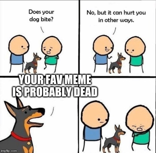 does your dog bite | YOUR FAV MEME IS PROBABLY DEAD | image tagged in does your dog bite | made w/ Imgflip meme maker
