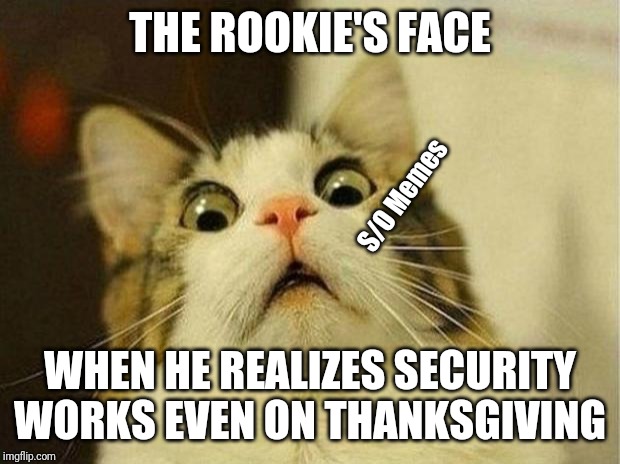 Scared Cat | THE ROOKIE'S FACE; S/O Memes; WHEN HE REALIZES SECURITY WORKS EVEN ON THANKSGIVING | image tagged in memes,scared cat | made w/ Imgflip meme maker