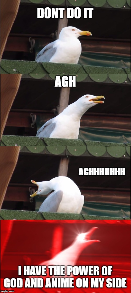 Inhaling Seagull | DONT DO IT; AGH; AGHHHHHHH; I HAVE THE POWER OF GOD AND ANIME ON MY SIDE | image tagged in memes,inhaling seagull | made w/ Imgflip meme maker