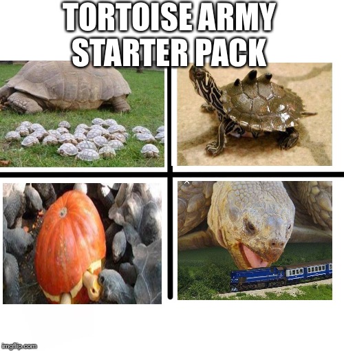 Tortoise attack | TORTOISE ARMY STARTER PACK | image tagged in memes,blank starter pack | made w/ Imgflip meme maker