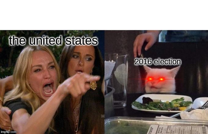 Woman Yelling At Cat | the united states; 2016 election | image tagged in memes,woman yelling at cat | made w/ Imgflip meme maker