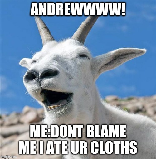 Laughing Goat Meme | ANDREWWWW! ME:DONT BLAME ME I ATE UR CLOTHS | image tagged in memes,laughing goat | made w/ Imgflip meme maker