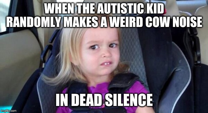 wtf girl | WHEN THE AUTISTIC KID RANDOMLY MAKES A WEIRD COW NOISE; IN DEAD SILENCE | image tagged in wtf girl | made w/ Imgflip meme maker