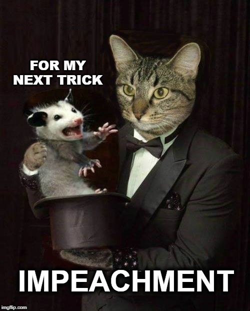 FOR MY NEXT TRICK; IMPEACHMENT | image tagged in magician,possum,trick,hoax,democrats,impeachment | made w/ Imgflip meme maker