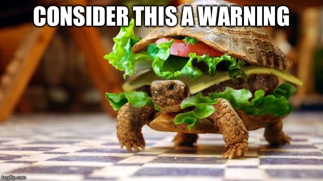 It be coming | CONSIDER THIS A WARNING | image tagged in tortoise sandwich | made w/ Imgflip meme maker