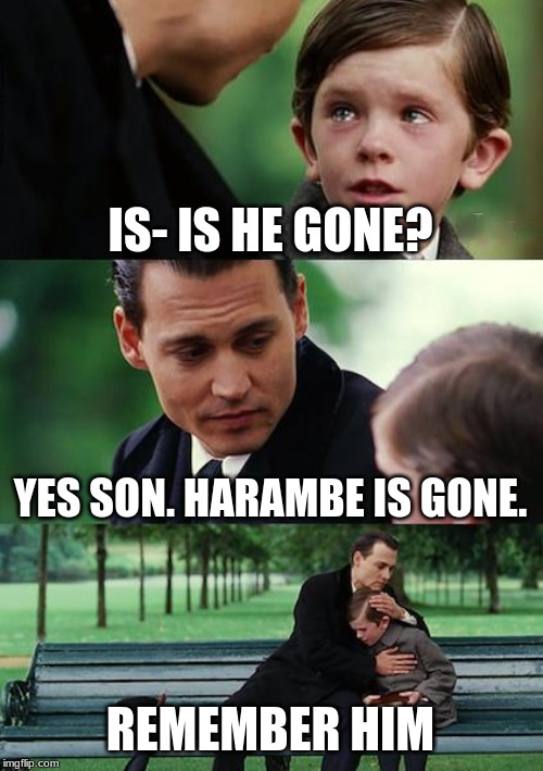 Finding Neverland Meme | IS- IS HE GONE? YES SON. HARAMBE IS GONE. REMEMBER HIM | image tagged in memes,finding neverland | made w/ Imgflip meme maker