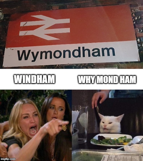WHY MOND HAM; WINDHAM | image tagged in memes,woman yelling at cat | made w/ Imgflip meme maker
