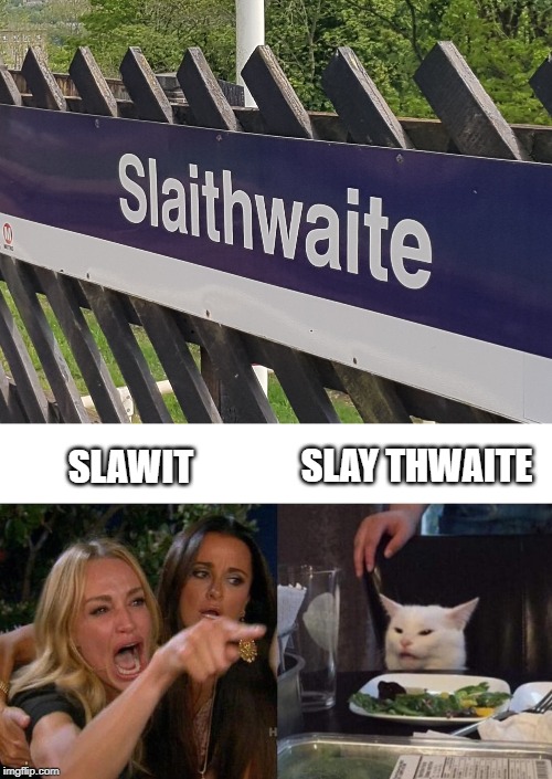 SLAY THWAITE; SLAWIT | image tagged in memes,woman yelling at cat | made w/ Imgflip meme maker