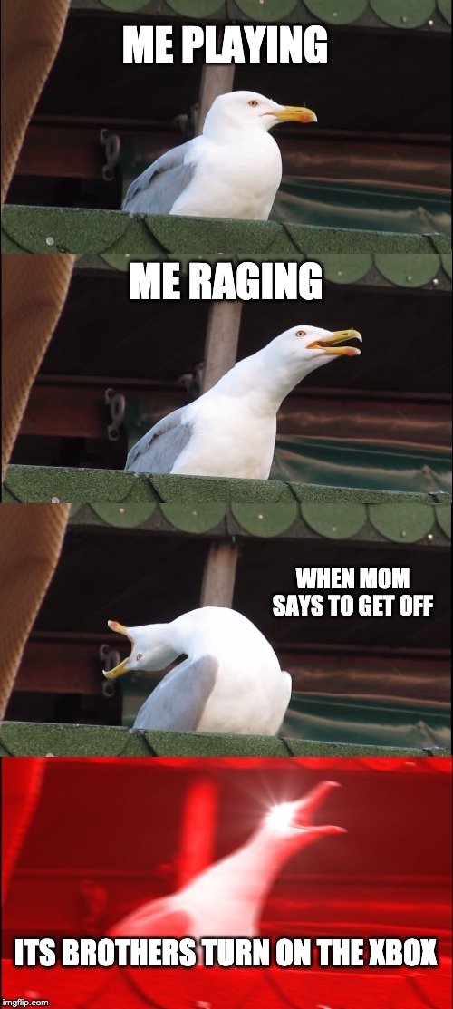 Inhaling Seagull | ME PLAYING; ME RAGING; WHEN MOM SAYS TO GET OFF; ITS BROTHERS TURN ON THE XBOX | image tagged in memes,inhaling seagull | made w/ Imgflip meme maker