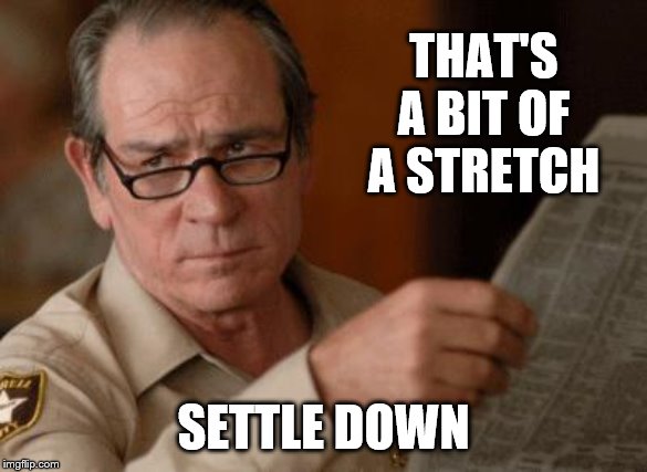 Tommy Lee Jones | THAT'S A BIT OF A STRETCH SETTLE DOWN | image tagged in tommy lee jones | made w/ Imgflip meme maker