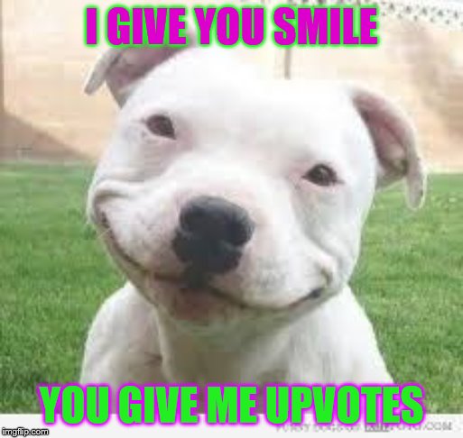 Happy Friday Puppy | I GIVE YOU SMILE; YOU GIVE ME UPVOTES | image tagged in happy friday puppy,memes,funny memes | made w/ Imgflip meme maker