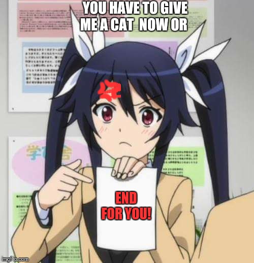 girl anime | YOU HAVE TO GIVE ME A CAT  NOW OR; 💢; END FOR YOU! | image tagged in girl anime | made w/ Imgflip meme maker