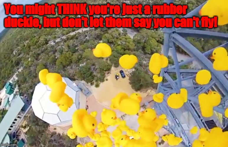 You might THINK you're just a rubber duckie, but don't let them say you can't fly! | image tagged in motivation,fly duckie | made w/ Imgflip meme maker