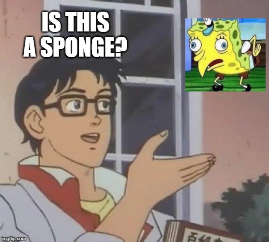Is This A Pigeon | IS THIS A SPONGE? | image tagged in memes,is this a pigeon | made w/ Imgflip meme maker