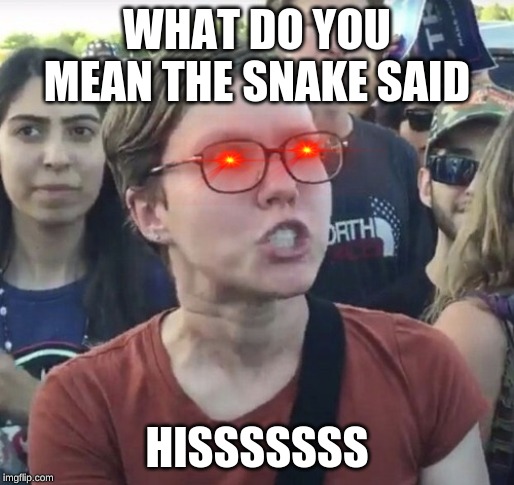 Triggered feminist | WHAT DO YOU MEAN THE SNAKE SAID; HISSSSSSS | image tagged in triggered feminist | made w/ Imgflip meme maker