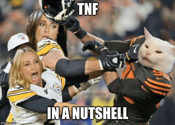 TNF | TNF; IN A NUTSHELL | image tagged in nfl memes | made w/ Imgflip meme maker