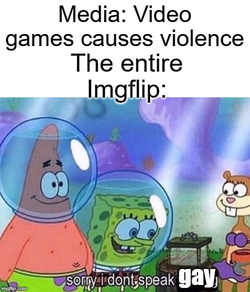 sorry i do not speak gay | The entire Imgflip:; Media: Video games causes violence; gay | image tagged in gay,sorry,funny,memes,imgflip,video games | made w/ Imgflip meme maker
