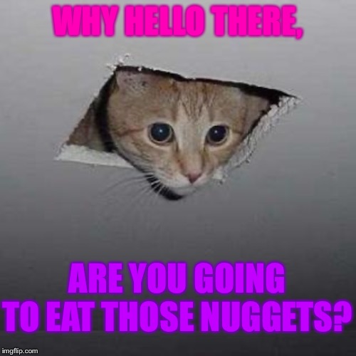 Ceiling Cat | WHY HELLO THERE, ARE YOU GOING TO EAT THOSE NUGGETS? | image tagged in memes,ceiling cat | made w/ Imgflip meme maker