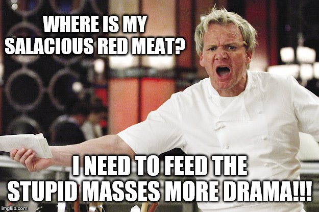 WHERE IS MY SALACIOUS RED MEAT? I NEED TO FEED THE STUPID MASSES MORE DRAMA!!! | made w/ Imgflip meme maker