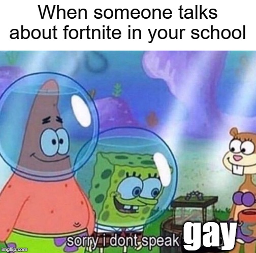 sorry your gay meme