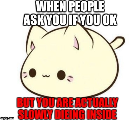 Happy cat bean | WHEN PEOPLE ASK YOU IF YOU OK | image tagged in my life | made w/ Imgflip meme maker