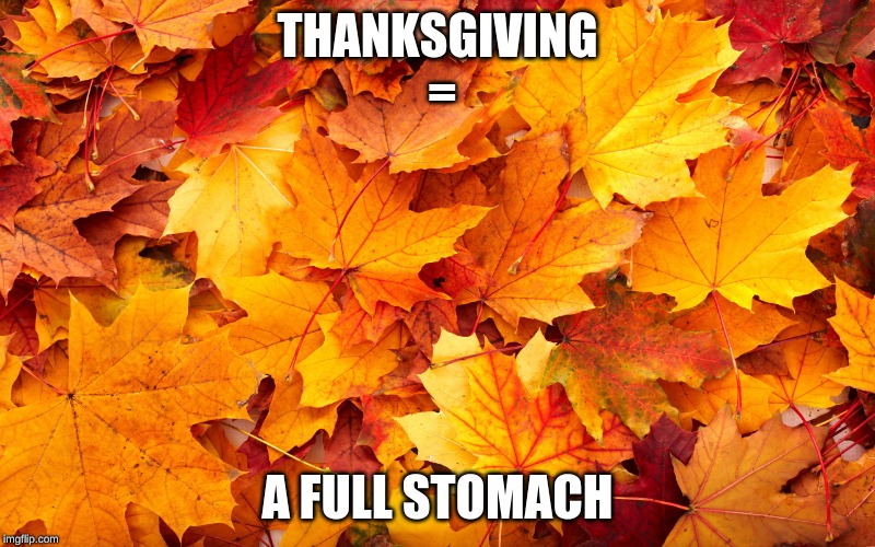 THANKSGIVING
 =; A FULL STOMACH | image tagged in thanksgiving | made w/ Imgflip meme maker