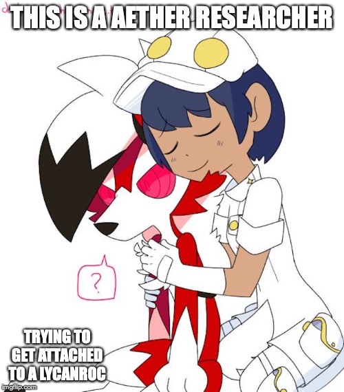 Aether Researcher With Lycanroc | THIS IS A AETHER RESEARCHER; TRYING TO GET ATTACHED TO A LYCANROC | image tagged in lycanroc,aether,memes,pokemon | made w/ Imgflip meme maker
