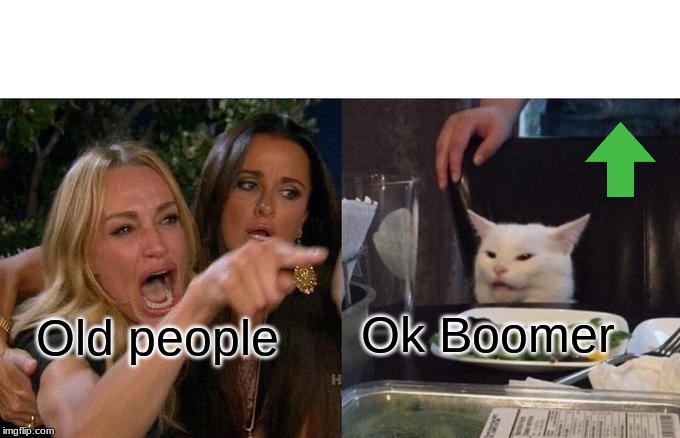 Woman Yelling At Cat Meme | Ok Boomer; Old people | image tagged in memes,woman yelling at cat | made w/ Imgflip meme maker