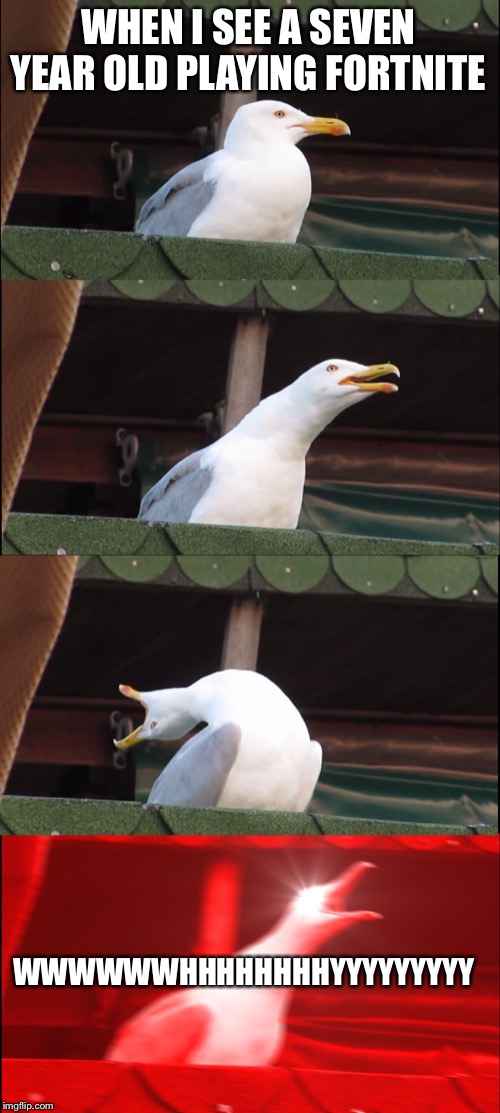 Inhaling Seagull Meme | WHEN I SEE A SEVEN YEAR OLD PLAYING FORTNITE; WWWWWWHHHHHHHHYYYYYYYYY | image tagged in memes,inhaling seagull | made w/ Imgflip meme maker