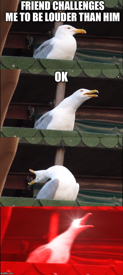 Inhaling Seagull | FRIEND CHALLENGES ME TO BE LOUDER THAN HIM; OK | image tagged in memes,inhaling seagull | made w/ Imgflip meme maker