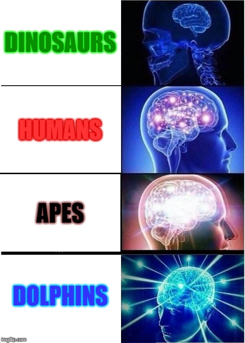 Expanding Brain Meme | DINOSAURS; HUMANS; APES; DOLPHINS | image tagged in memes,expanding brain | made w/ Imgflip meme maker