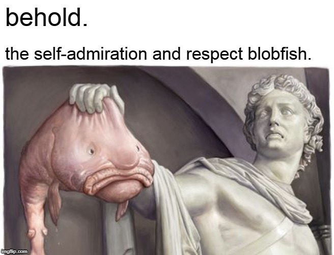 behold. the self-admiration and respect blobfish. | image tagged in blobfish,self admiration,respect | made w/ Imgflip meme maker