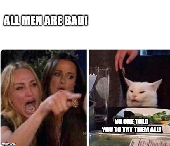 When you make a hasty generalization! | ALL MEN ARE BAD! NO ONE TOLD YOU TO TRY THEM ALL! | image tagged in lady screams at cat,funny,funny memes | made w/ Imgflip meme maker